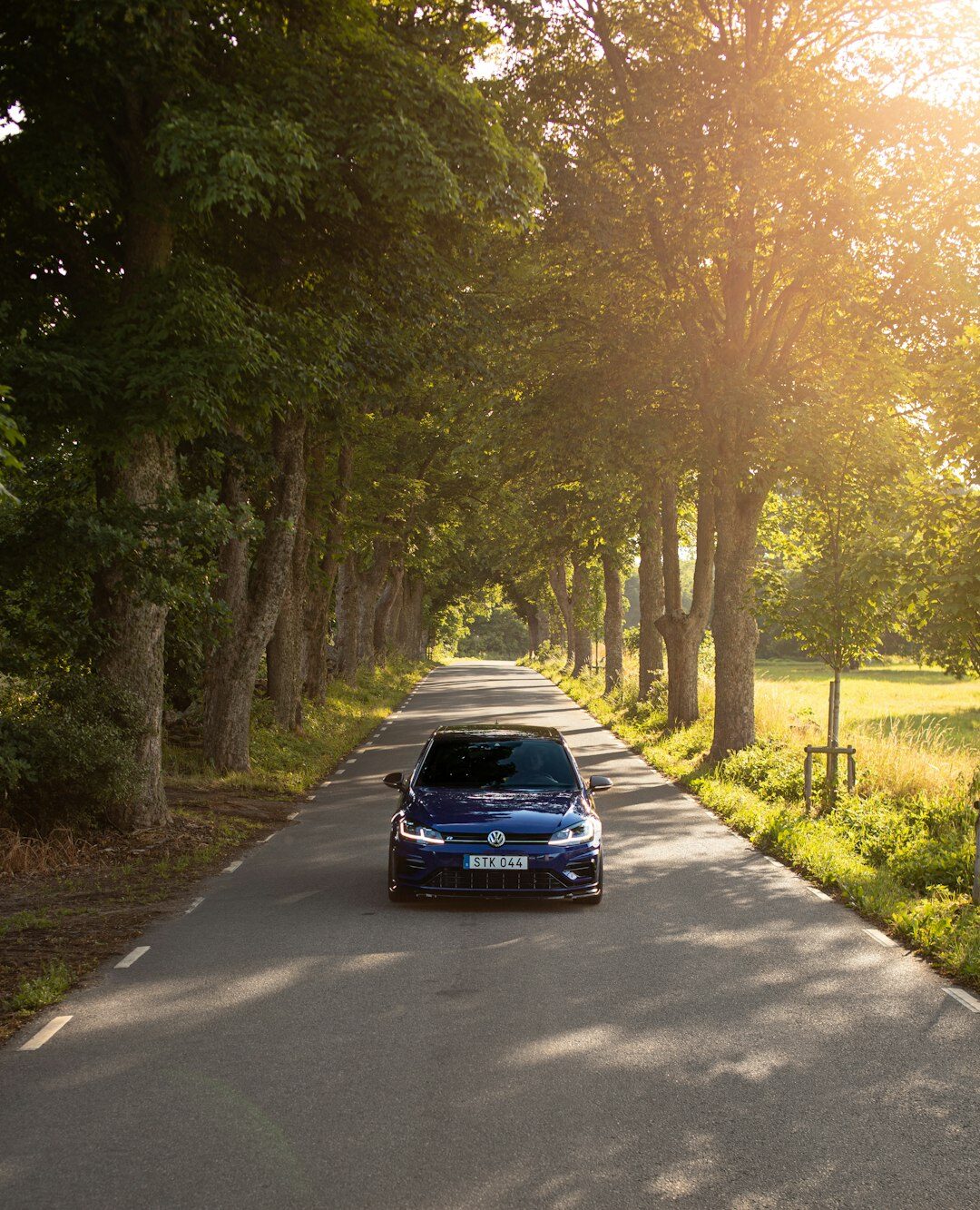 car on scenic road