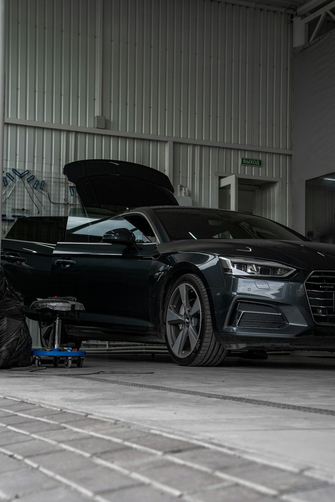 professional mechanic servicing luxury car